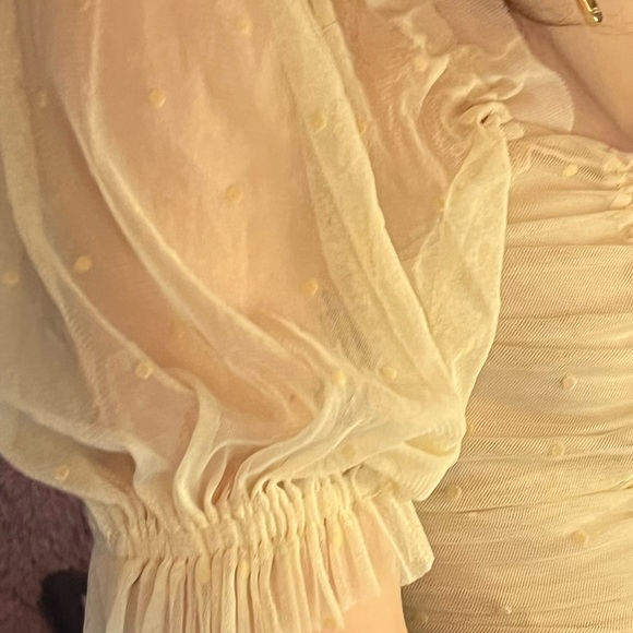 adorable dotted bell cuffed cropped t ✨ - Picture 4 of 4